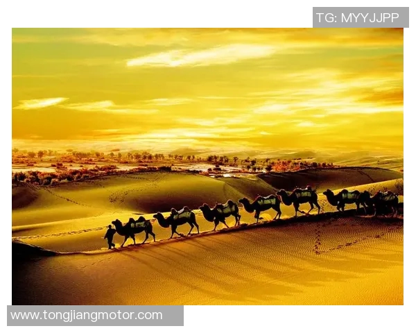 崔永熙：在时代变迁中探索文化传承与创新的艺术之路