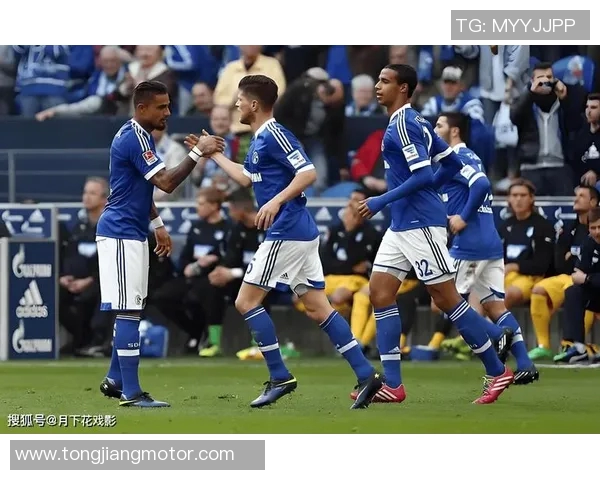 德乙焦点战纽伦堡主场迎战达姆施塔特期待精彩对决