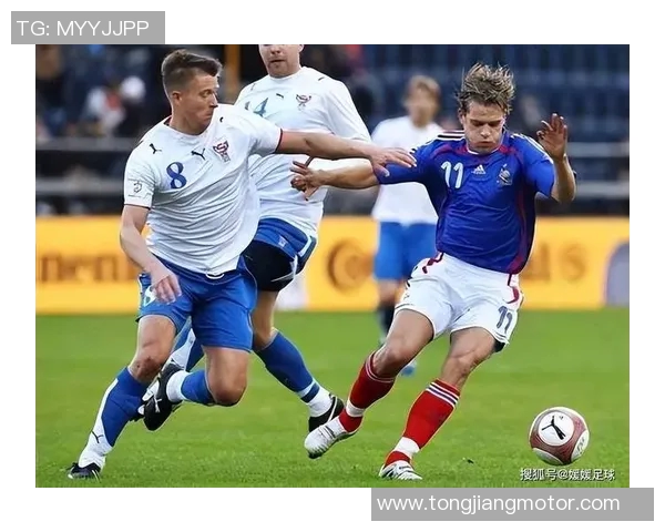 法国与丹麦比赛技术统计分析全面解读