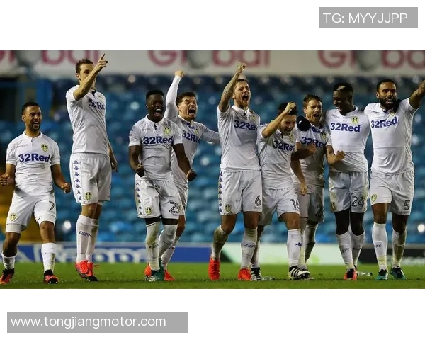 伯明翰对阵利兹联比赛分析与推荐策略分享