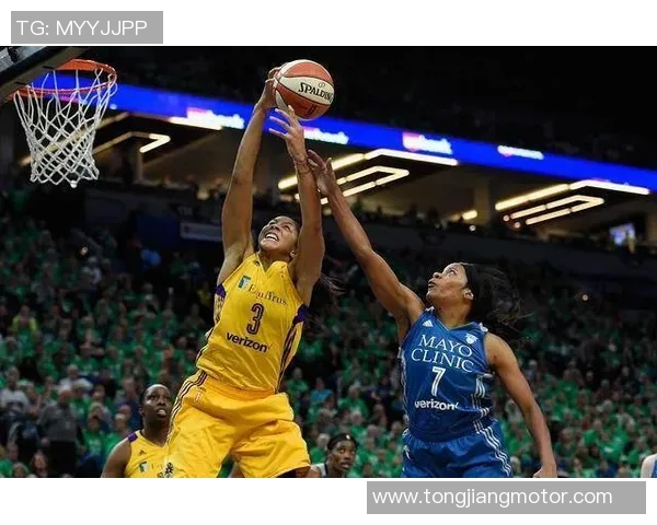 自由人对火花的全面分析与战术解析探讨