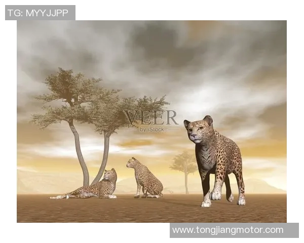 美洲虎与墨西哥美洲的巅峰对决精彩纷呈谁能笑到最后