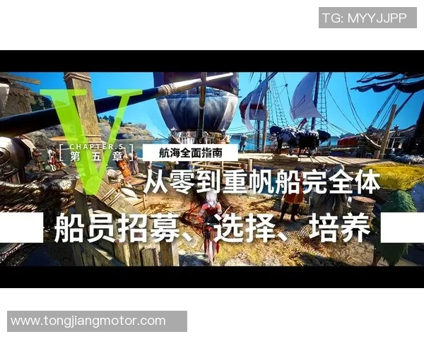 从零起步：滑板团队协作的全面指南与实战技巧分享MBA