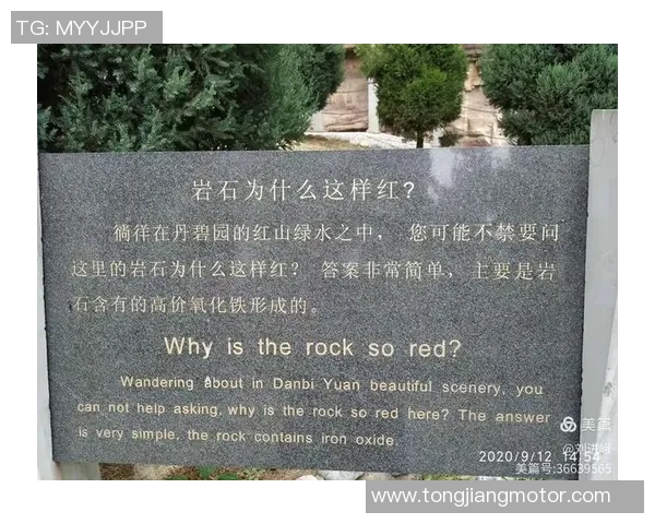 上海攀岩队实力分析与表现评估探讨及未来发展方向研究