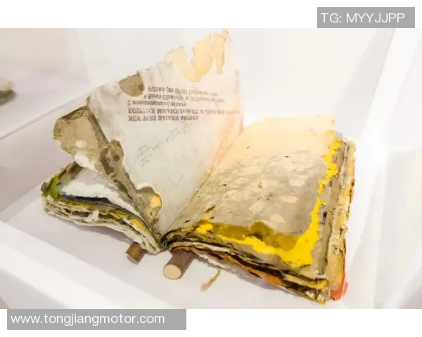 加莱诺的艺术魅力与文化传承探讨：从历史到现代的多维视角