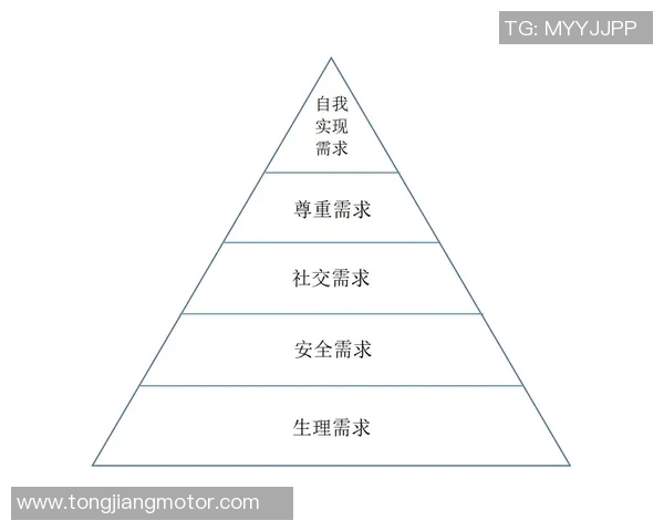 北京羽毛球队心理素质分析及其对比赛表现的影响研究MBA
