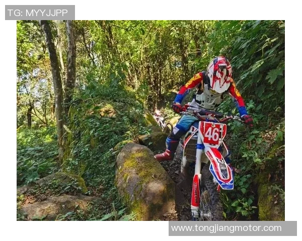 城市马拉松特别报道：北京滑板队在赛道上的拼搏与梦想追逐MBA