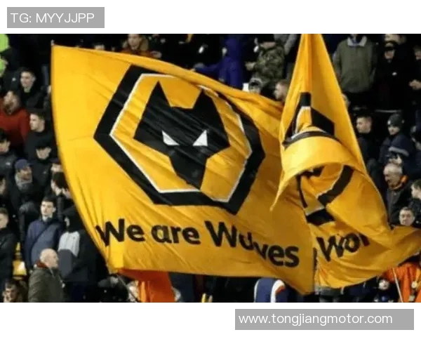 布拉迪对阵狼队的精彩对决分析与赛前预测